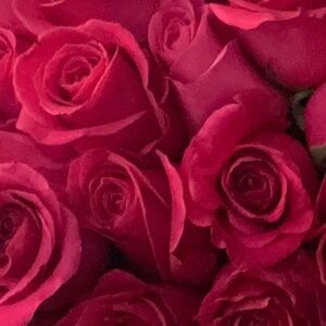 Meet your Posher, Ally